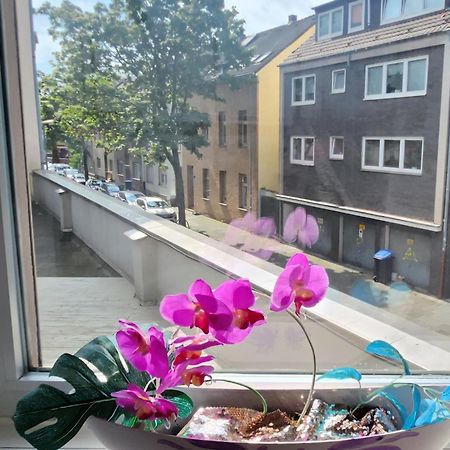 Elena Flat Orchidee Duisburg Zentrum Exteriör bild