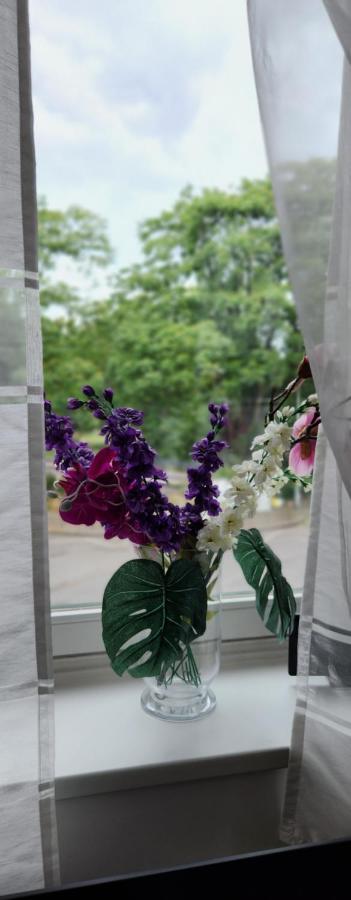 Elena Flat Orchidee Duisburg Zentrum Exteriör bild