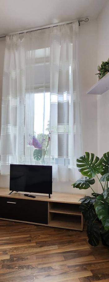 Elena Flat Orchidee Duisburg Zentrum Exteriör bild
